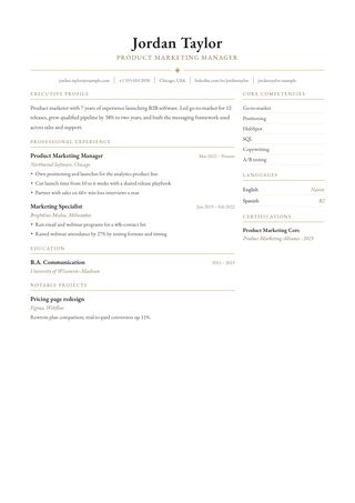 Executive resume template preview