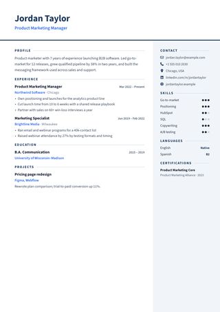 Professional resume template preview